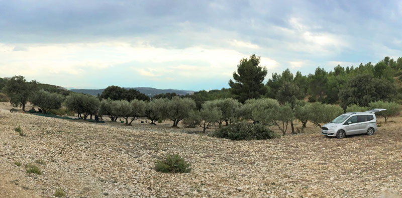 Oliveraie du Vallon de RONCO