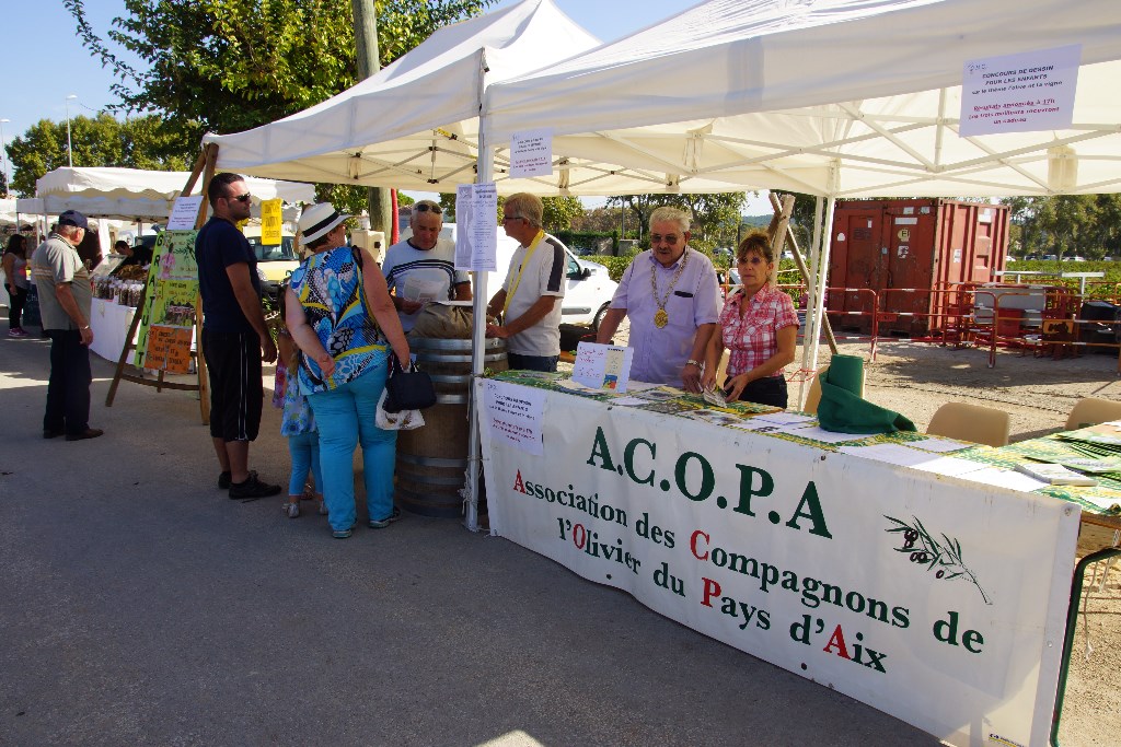 Fête de l'olive et du vin du 19 Octobre 2014 à la Fare Les Oliviers