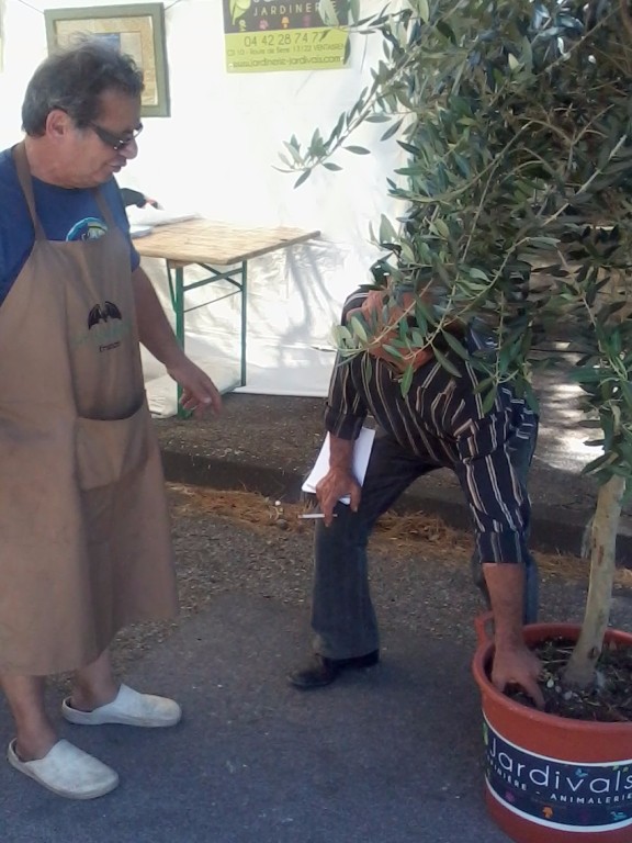 Stand à Lançon de Provence le 20 Juin 2015 pour la fête du terroir