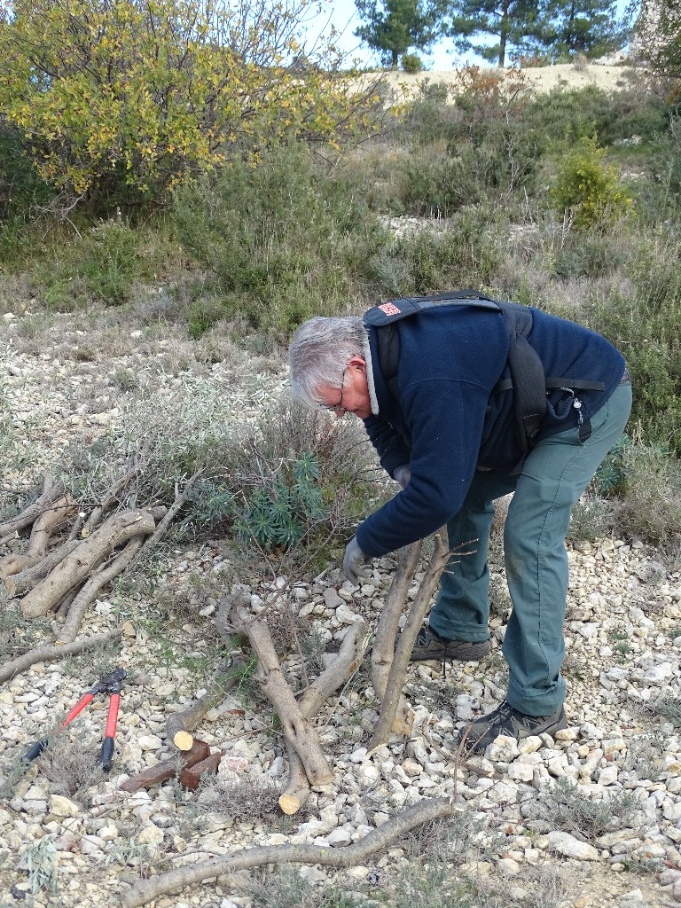 Premire rhabilitation des Oliviers du Castellas le 28 Novembre 2016