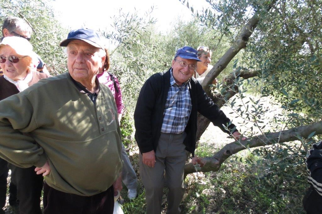 Démonstration de greffe d'Olivier au domaine de Mme Pascal à Coudoux