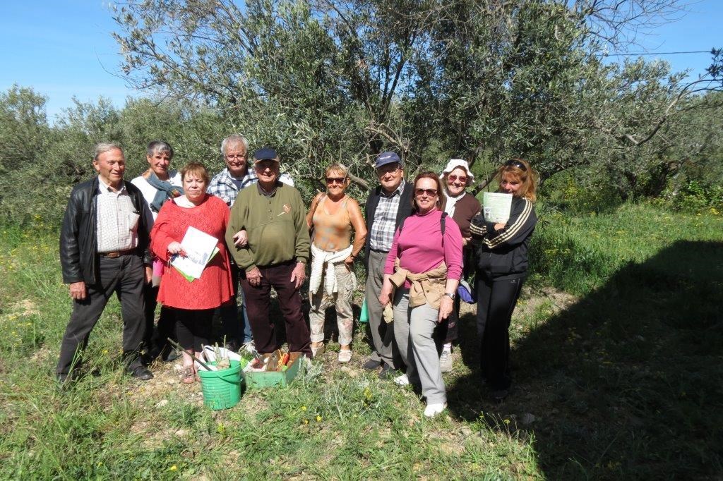 Démonstration de greffe d'Olivier au domaine de Mme Pascal à Coudoux