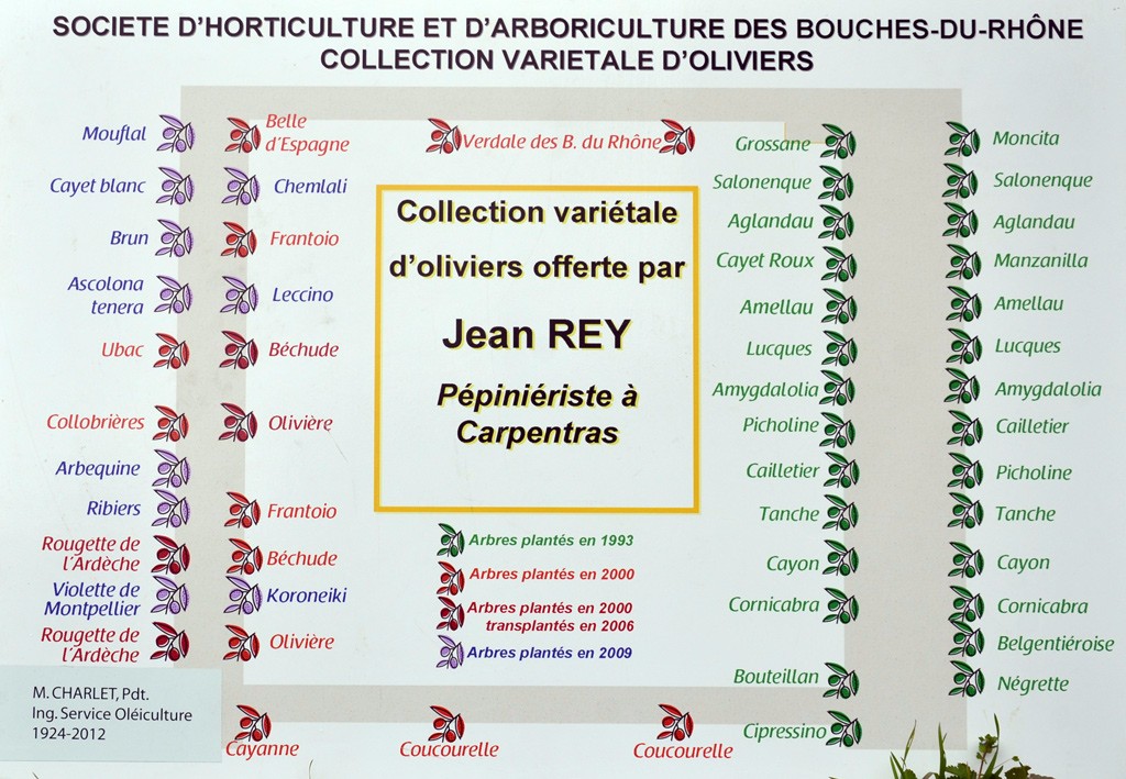 dmonstration de taille  la St d'horticulture de Marseille