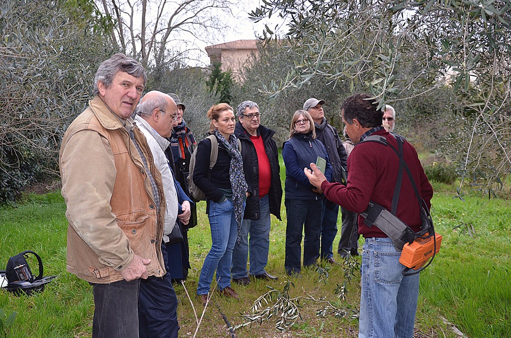 dmonstration de taille  la St d'horticulture de Marseille