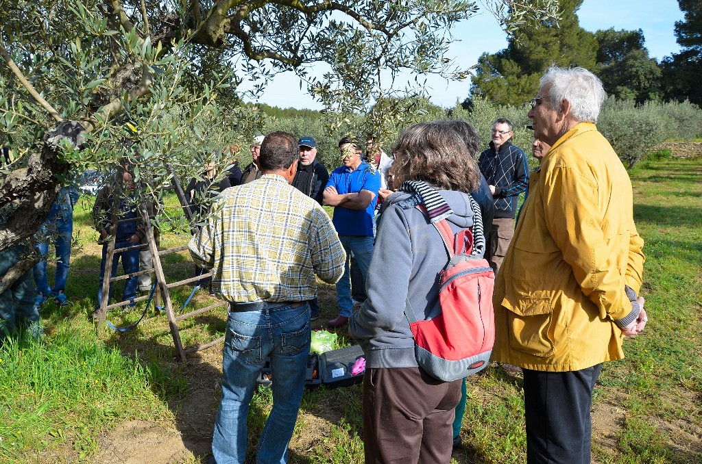 Démonstration de taille au Domaine de Lunard