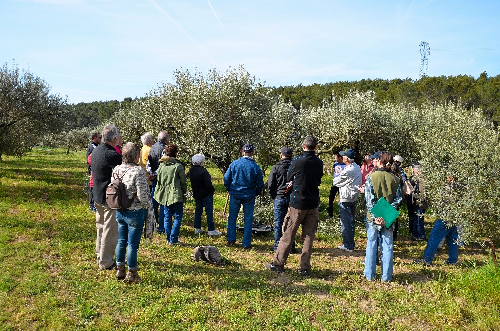 Dmonstration de taille au Domaine de Lunard