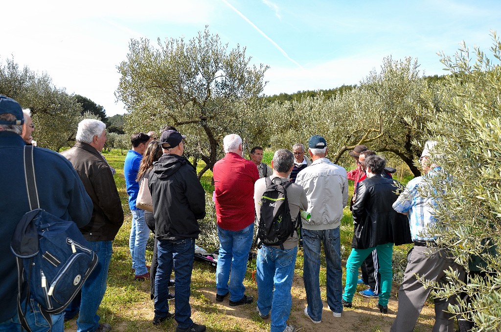 Démonstration de taille au Domaine de Lunard