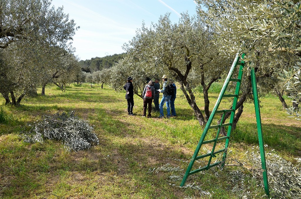 Démonstration de taille au Domaine de Lunard
