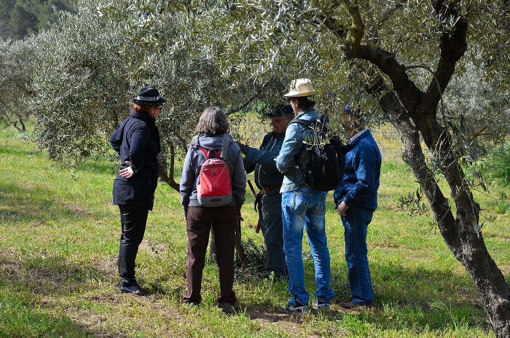 Dmonstration de taille au Domaine de Lunard