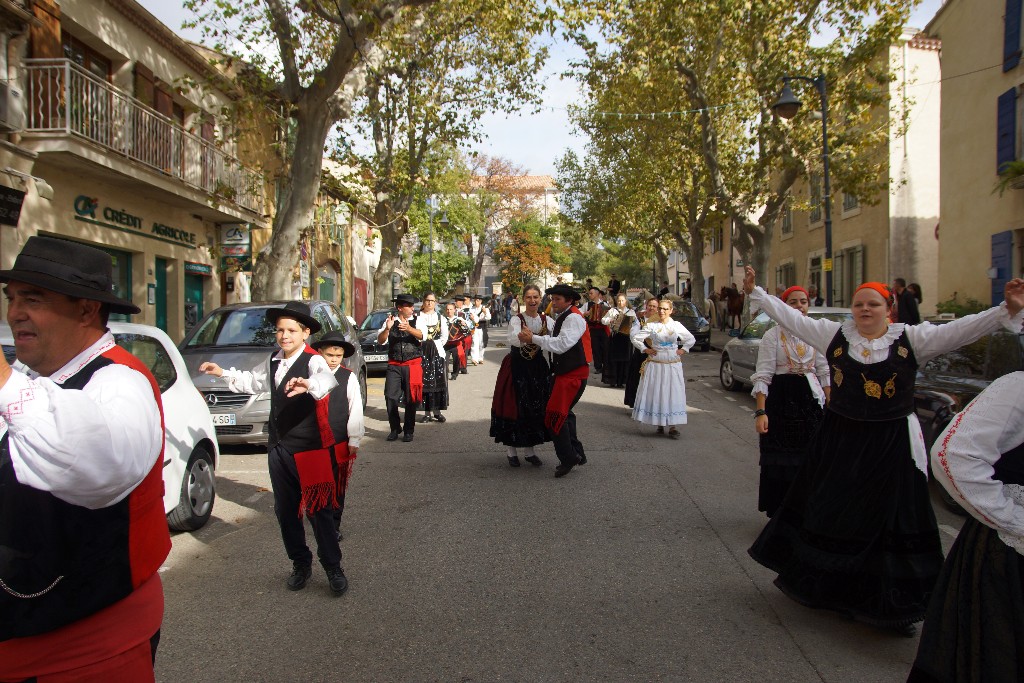 Fête de l'Olive et du Vin du 16 Octobre 2016 à la Fare Les Oliviers