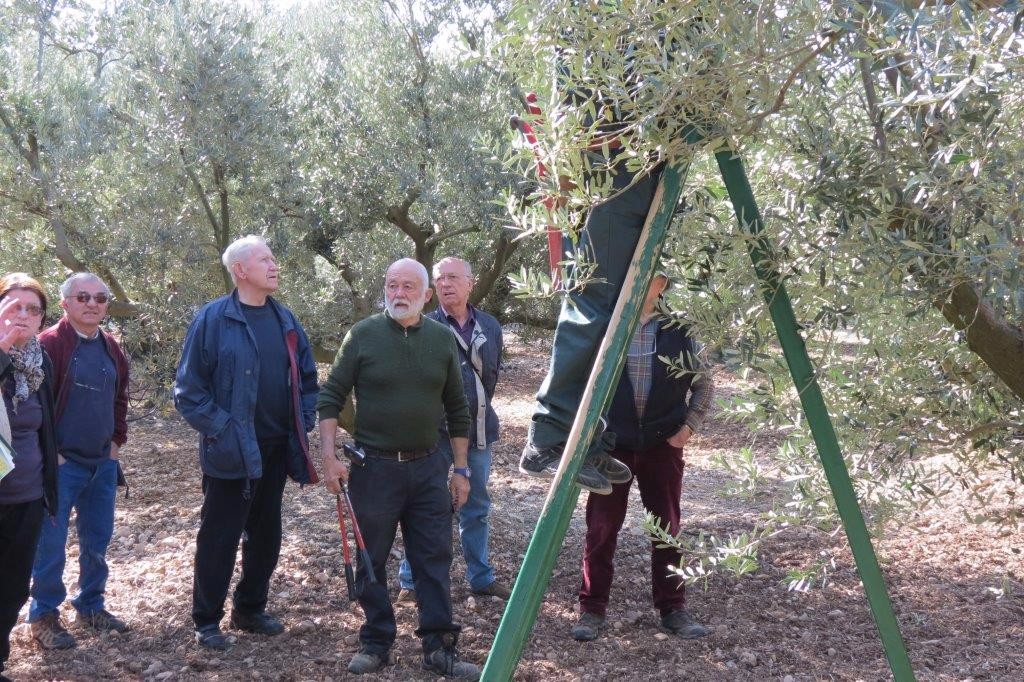 Dmonstration de taille au domaine Merici