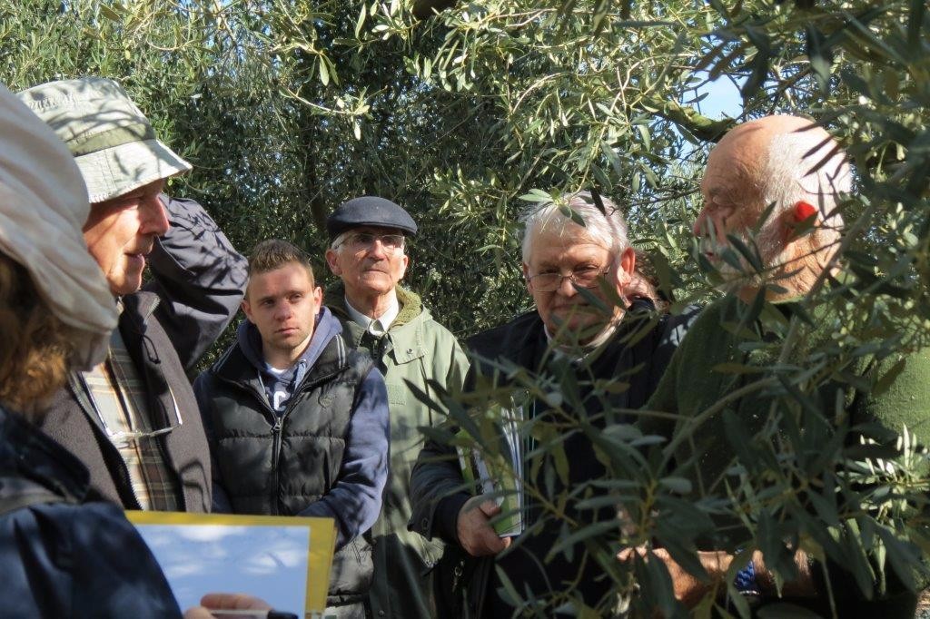 Démonstration de taille au domaine Merici