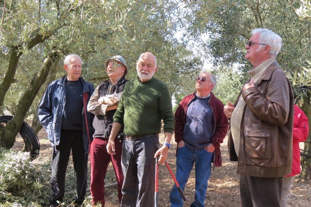 Démonstration de taille au domaine Merici