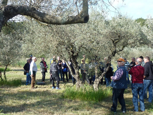 Dmonstration de taille et Aoli Gant au domaine de Lunard