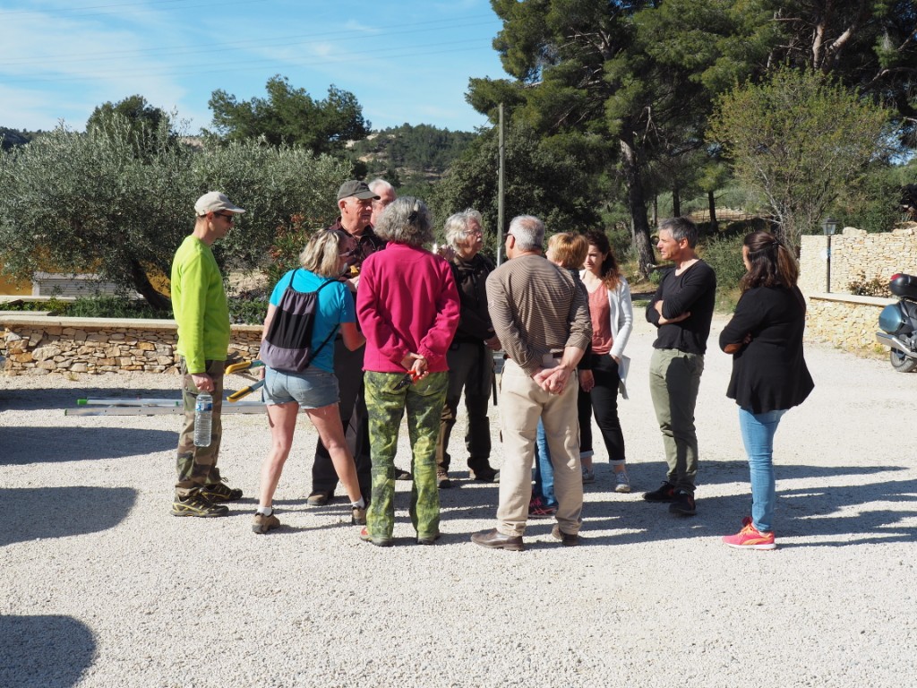 Acopa confrérie taille olivier huile olives