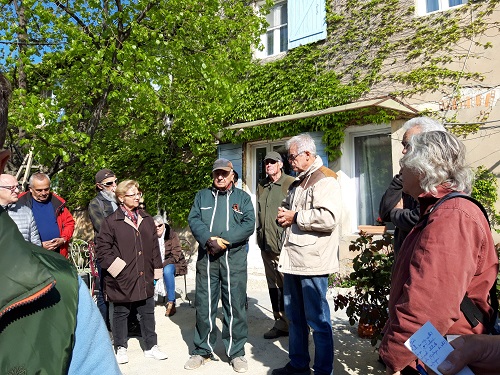 Acopa confrérie taille olivier huile olives